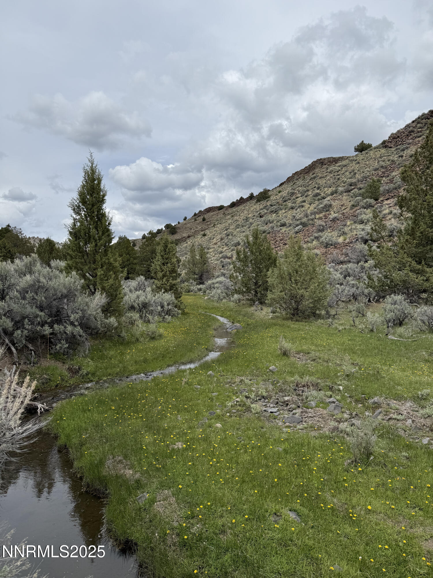 0 Wall Canyon Reservoir Road Gerlach, NV 89412 - Photo 2 of 24 a view of a field with an ocean and trees