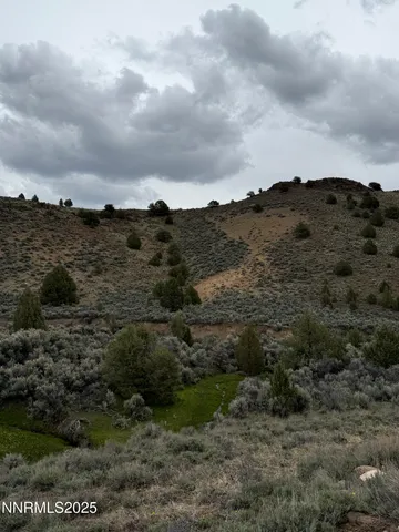 a view of a grassy field with trees