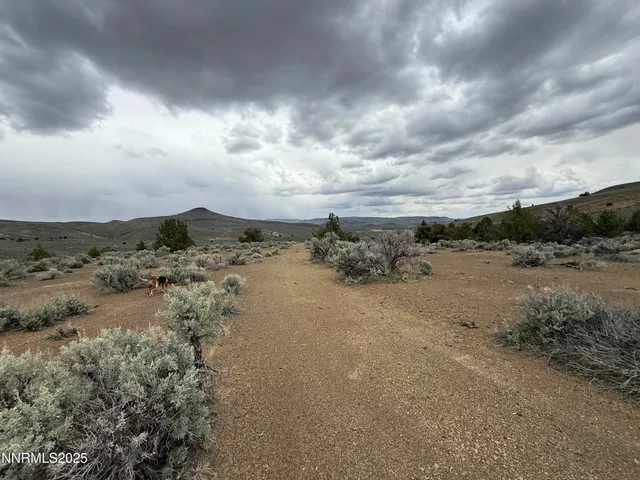 $220,000 | 0 Wall Canyon Reservoir Road, Gerlach, NV 89412