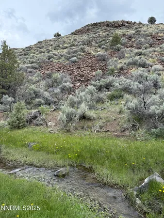 a view of a field