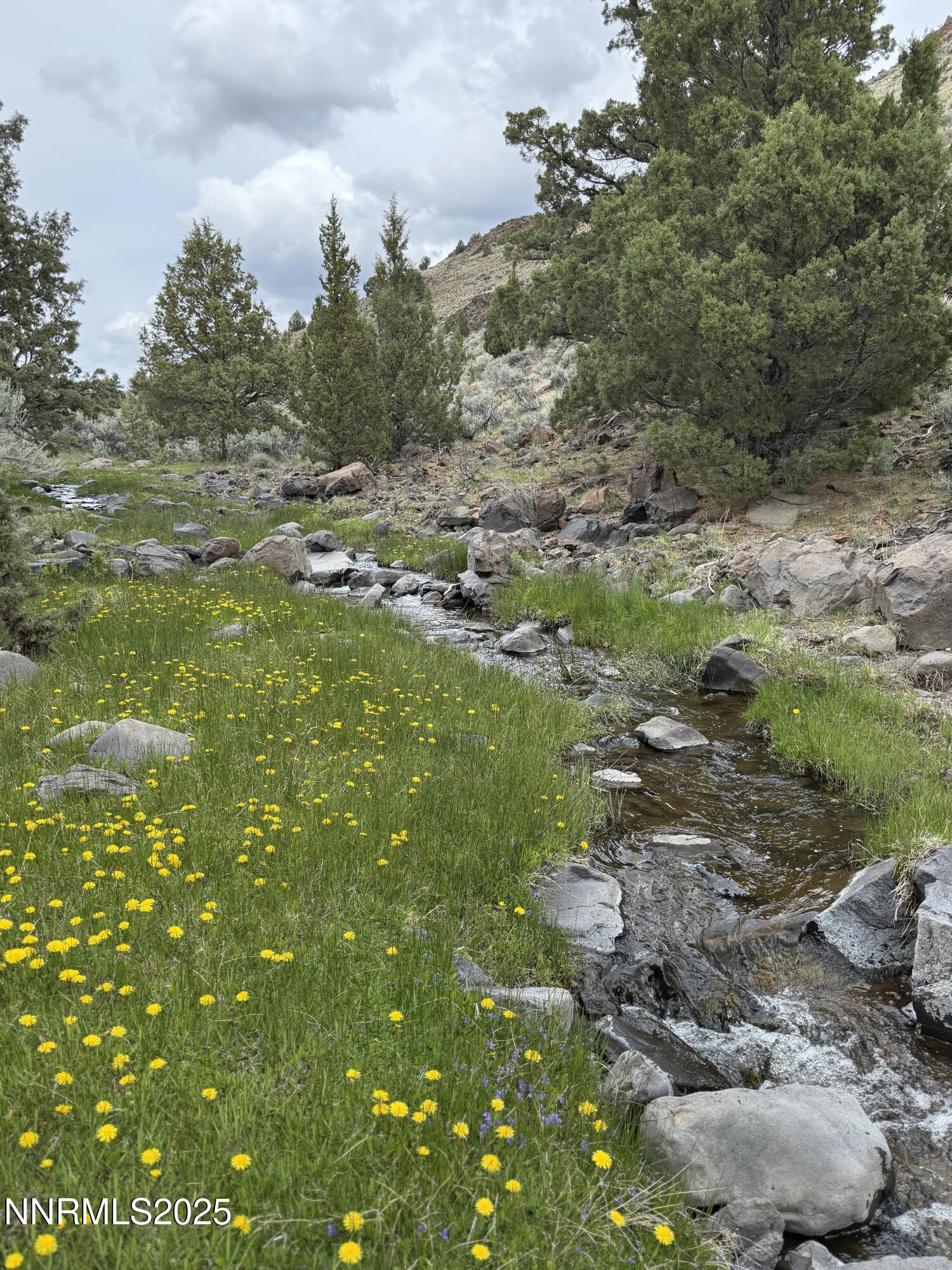 0 Wall Canyon Reservoir Road Gerlach, NV 89412 - Photo 5 of 24 a view of a bunch of trees and bushes