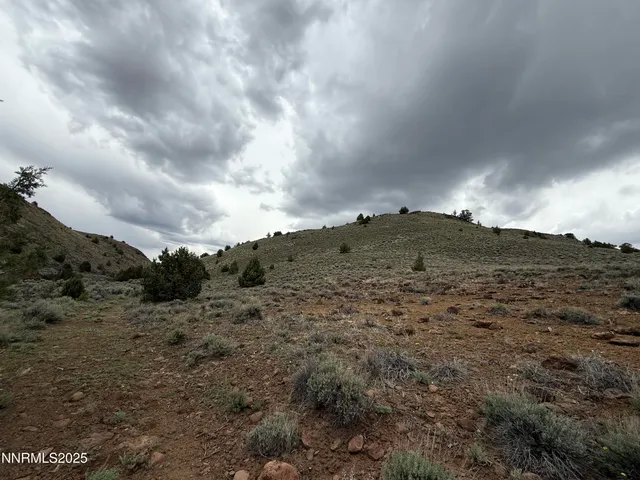 a view of a dry yard