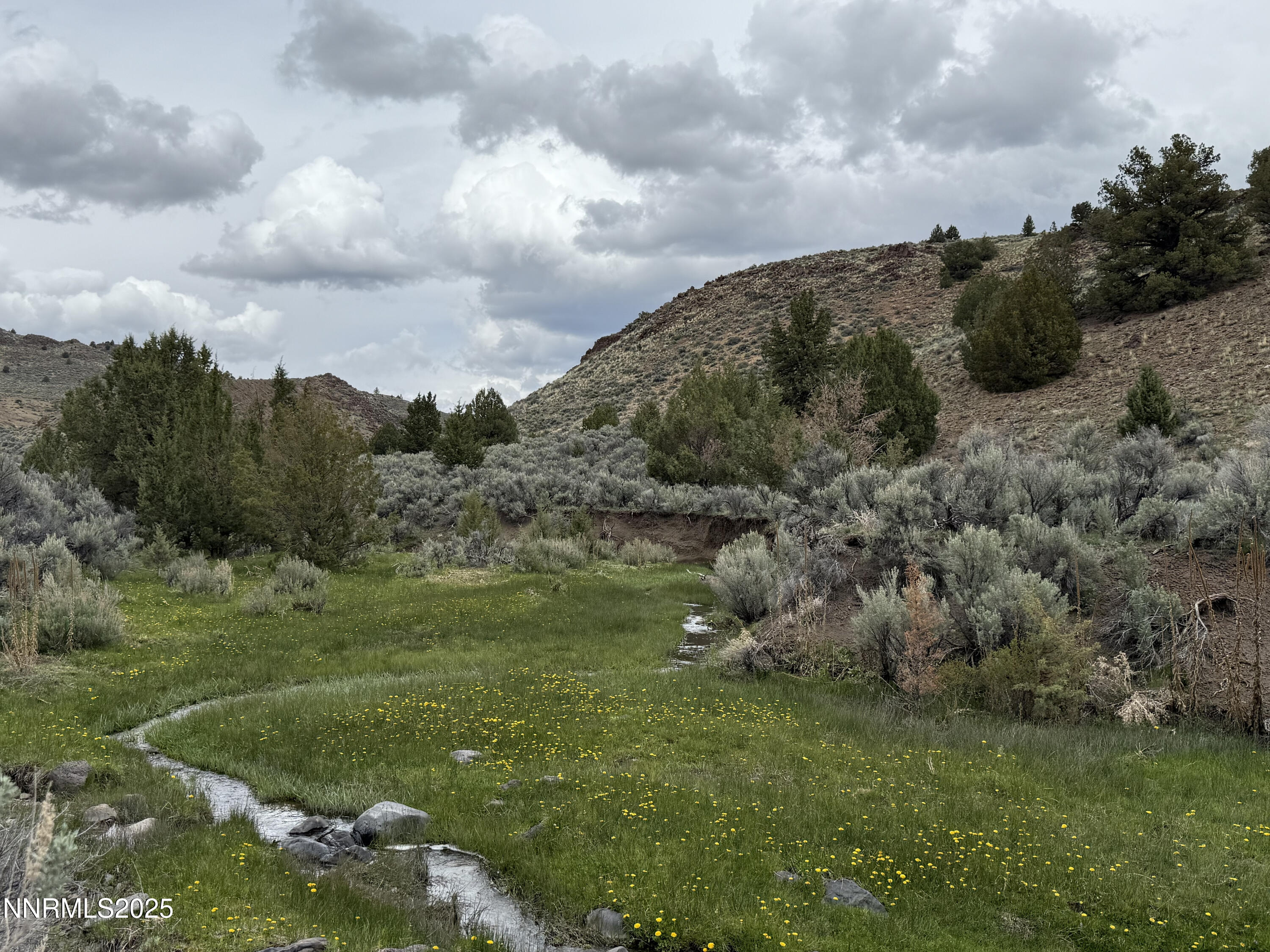 0 Wall Canyon Reservoir Road Gerlach, NV 89412 - Photo 7 of 24 a view of a big yard with lots of green space