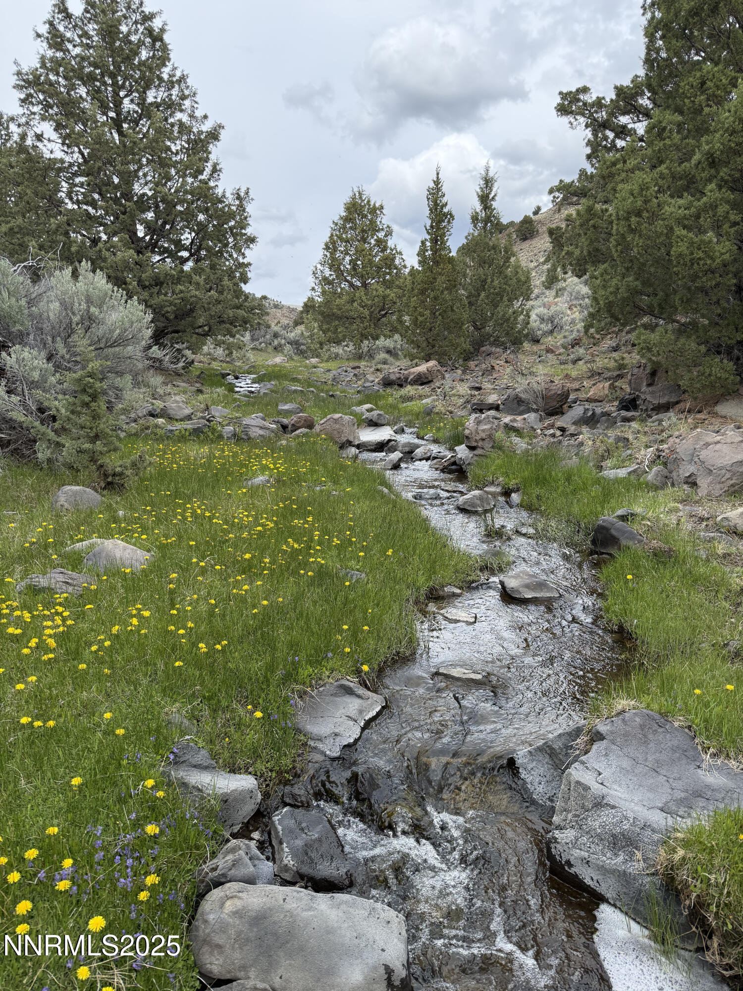 0 Wall Canyon Reservoir Road Gerlach, NV 89412 - Photo 10 of 24 a view of a lake with beach
