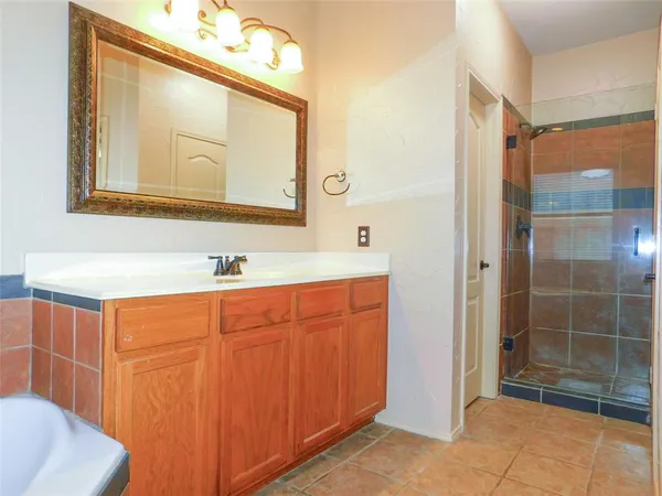 a bathroom with a sink a mirror and a shower