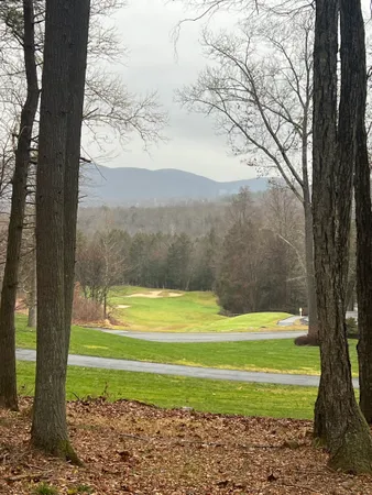a view of a yard with a large trees