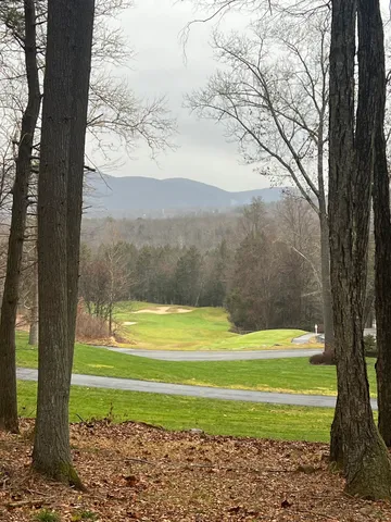 a view of a yard with a large trees