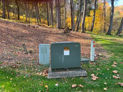 a backyard of a house with lots of trees
