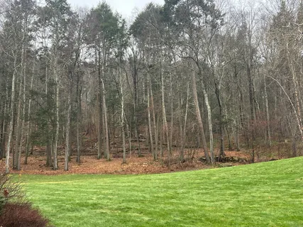 a view of a back yard