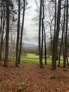 a view of outdoor space with trees