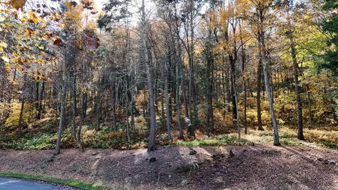 a view of a lush green hillside and a mountain