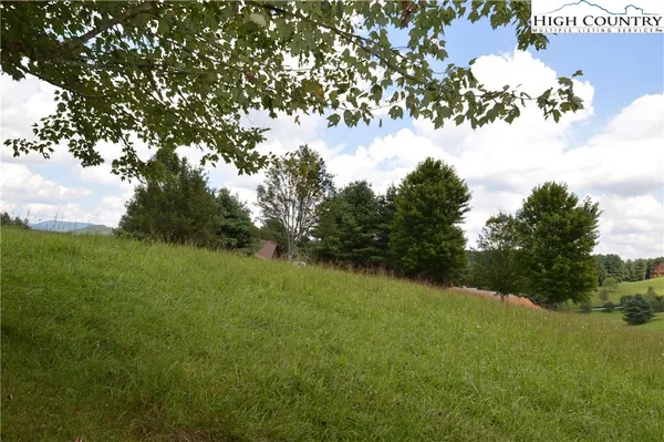 a view of a lake from a yard