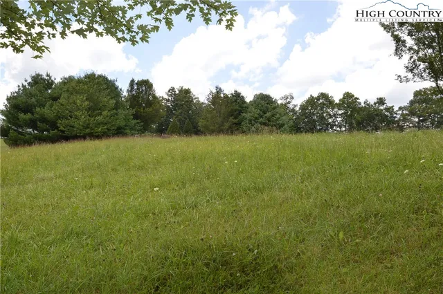 a view of an ocean from a yard