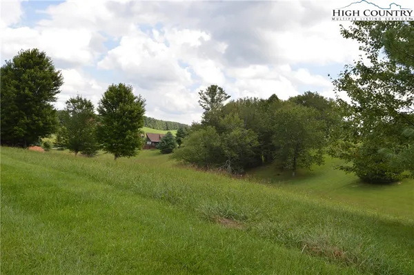 a view of a lush green space