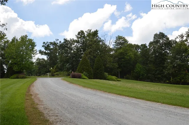 a view of a green field with lots of bushes