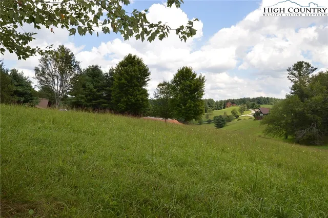 a view of a field with a tree in the background