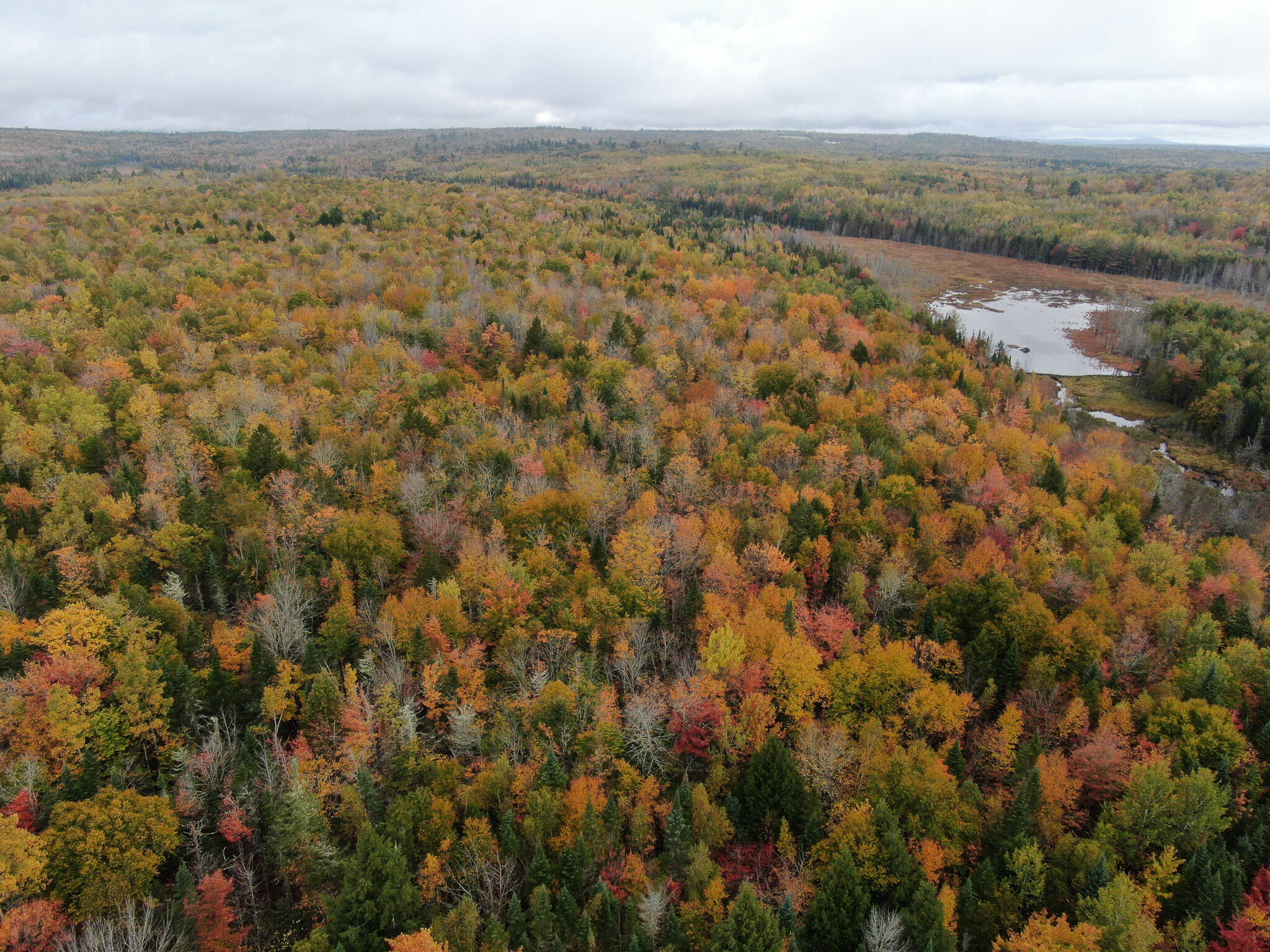 Lot 14 Smith Road Brownville, ME 04414 - Photo 3 of 26 DJI_0459