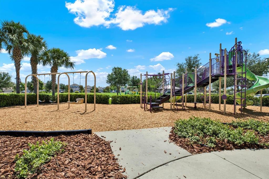 6003 Milestone Drive Apollo Beach, FL 33572 - Photo 38 of 50 a view of a backyard