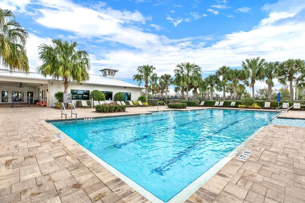 6003 Milestone Drive Apollo Beach, FL 33572 - Photo 41 of 50 a view of swimming pool with outdoor seating and trees in the background