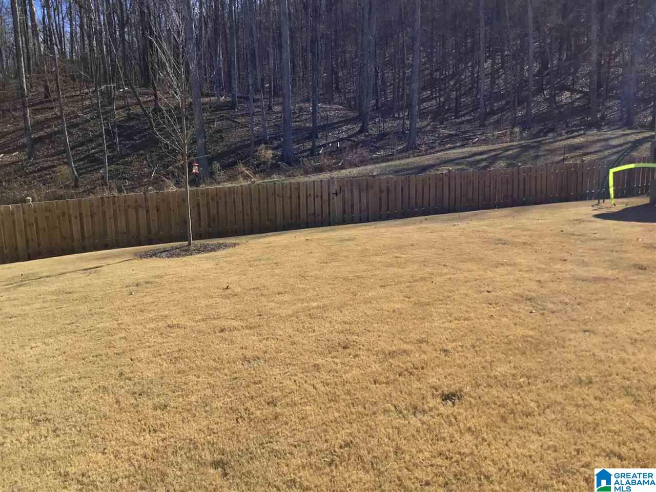 529 Kirkwall Circle Pelham, AL 35124 - Photo 41 of 43