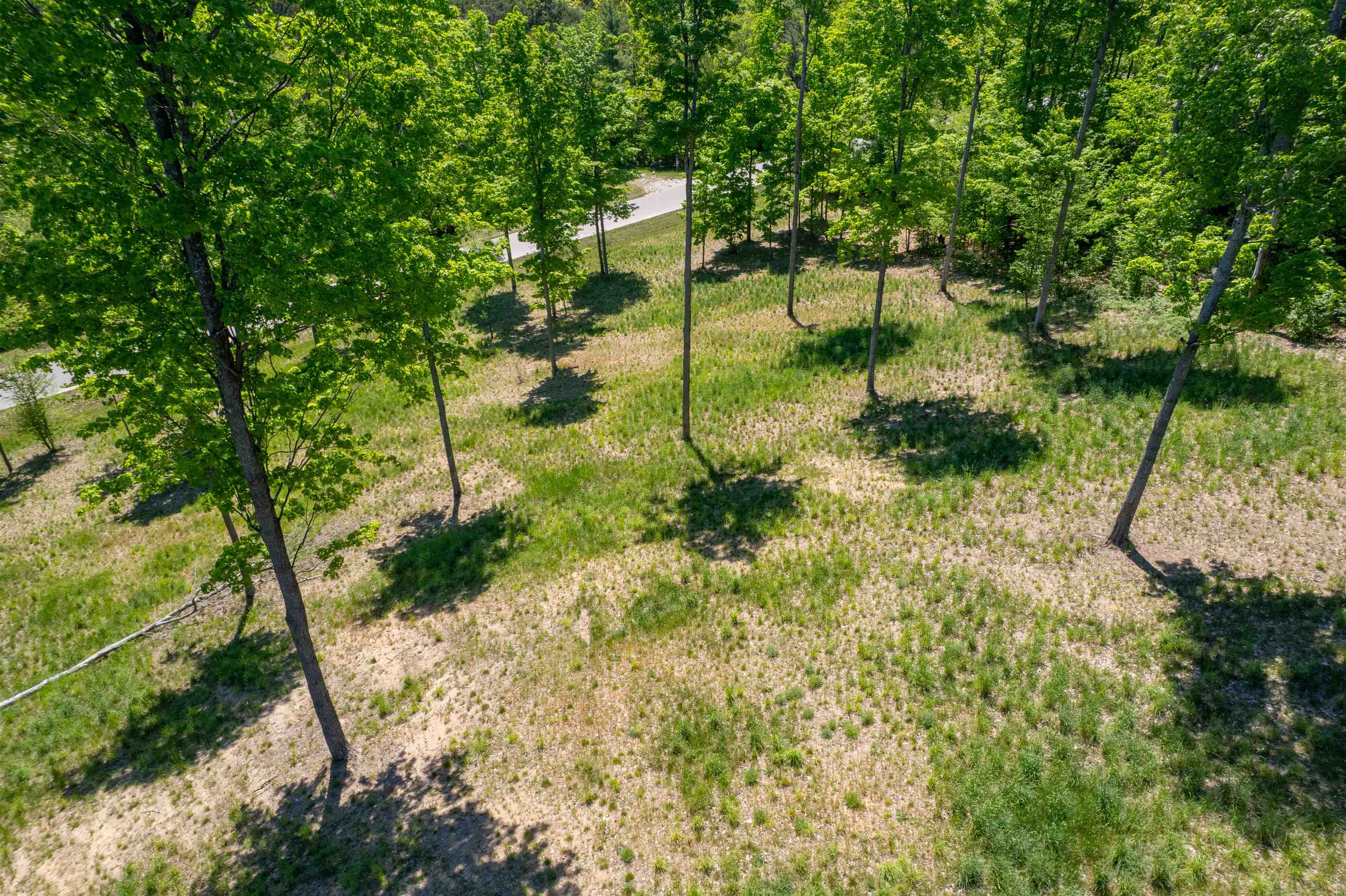 5844 Elkhorn Road, Unit LOT: 73 Kingsley, MI 49649 - Photo 8 of 12