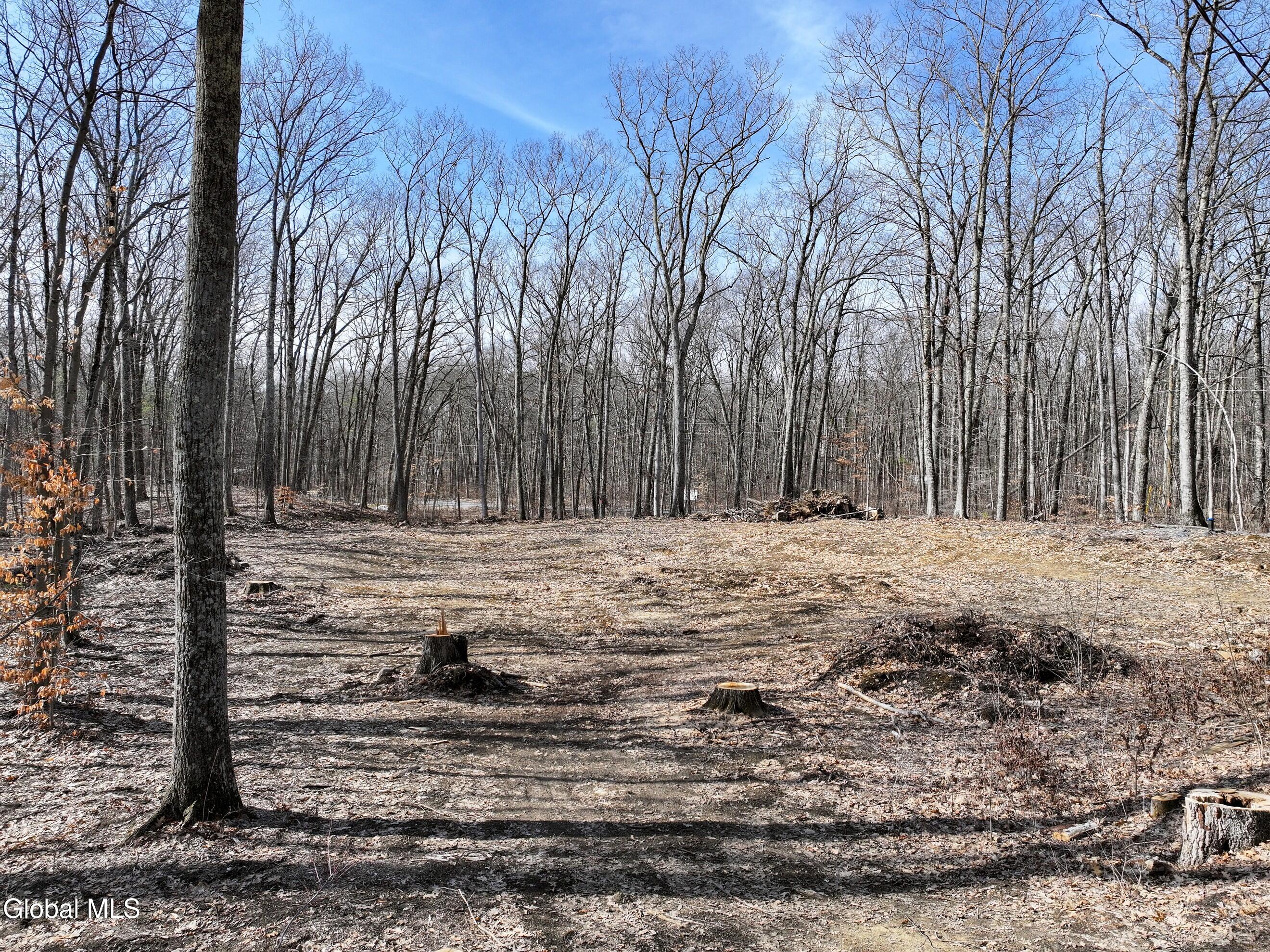 8 Nacy Road Lake George, NY 12845 - Photo 16 of 19 DJI_20260330101809_0058_D-2 (Copy)