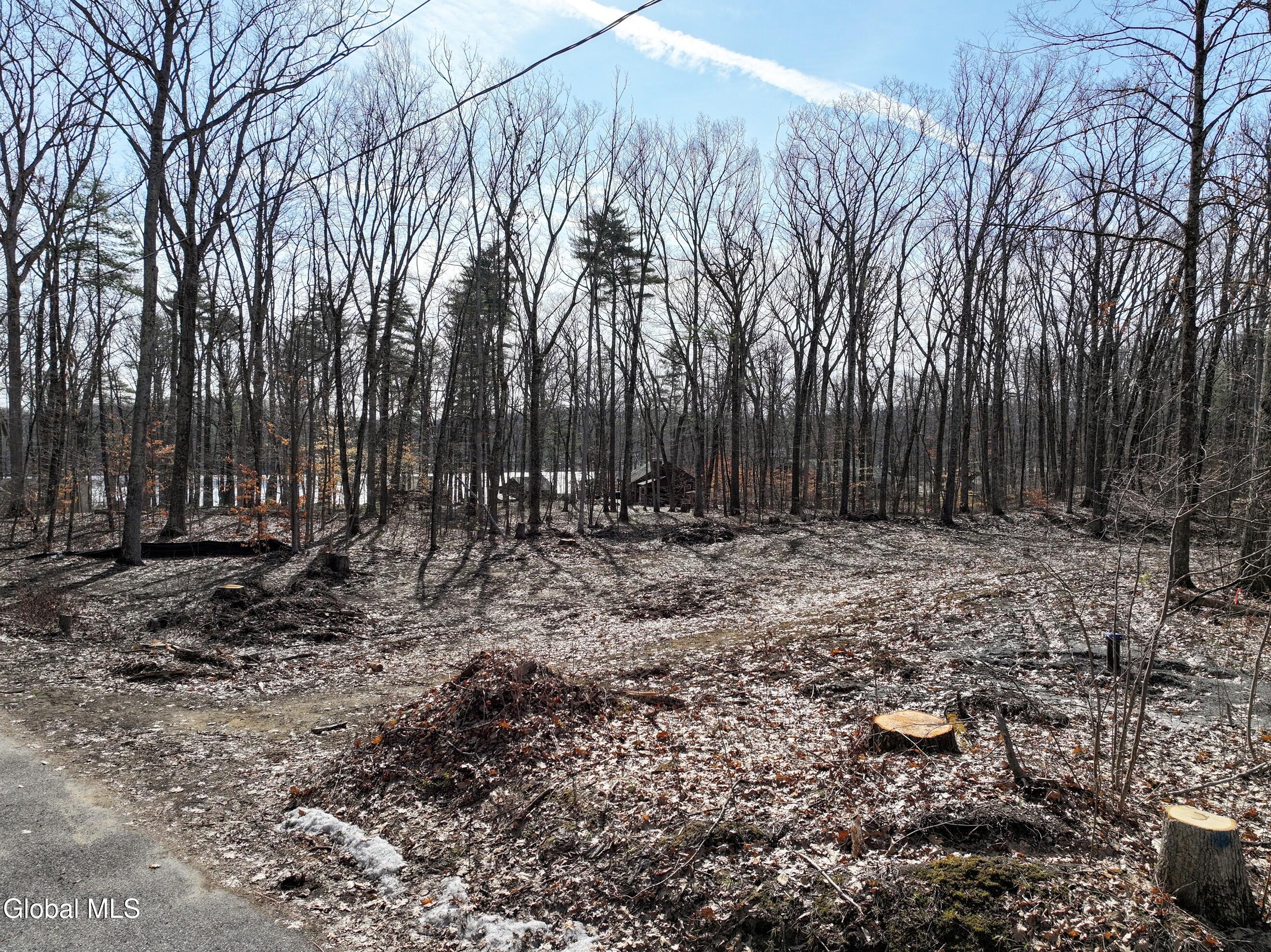 8 Nacy Road Lake George, NY 12845 - Photo 17 of 19 DJI_20260330102052_0061_D-2 (Copy)