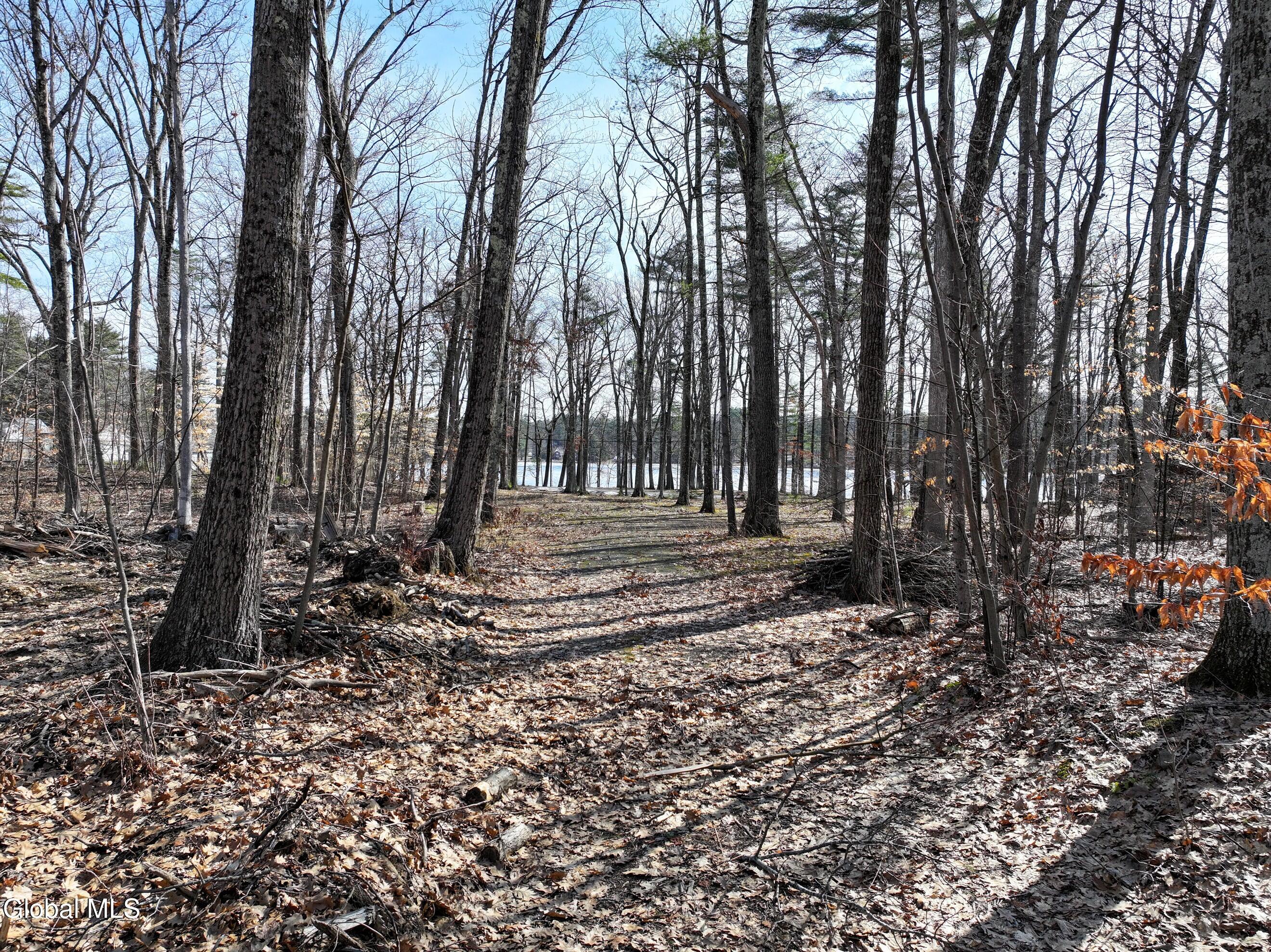 8 Nacy Road Lake George, NY 12845 - Photo 6 of 19 DJI_20260330102333_0066_D-2 (Copy)