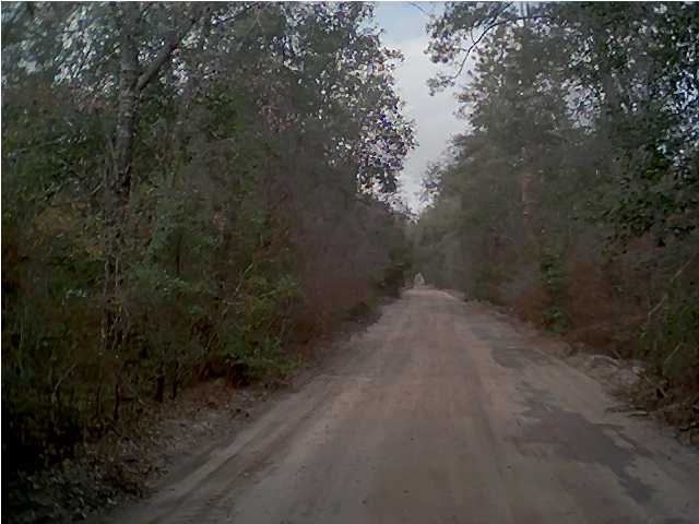 0 Calvin Carr Road Holt, FL 32564 - Photo 2 of 3 Gallery Image 2