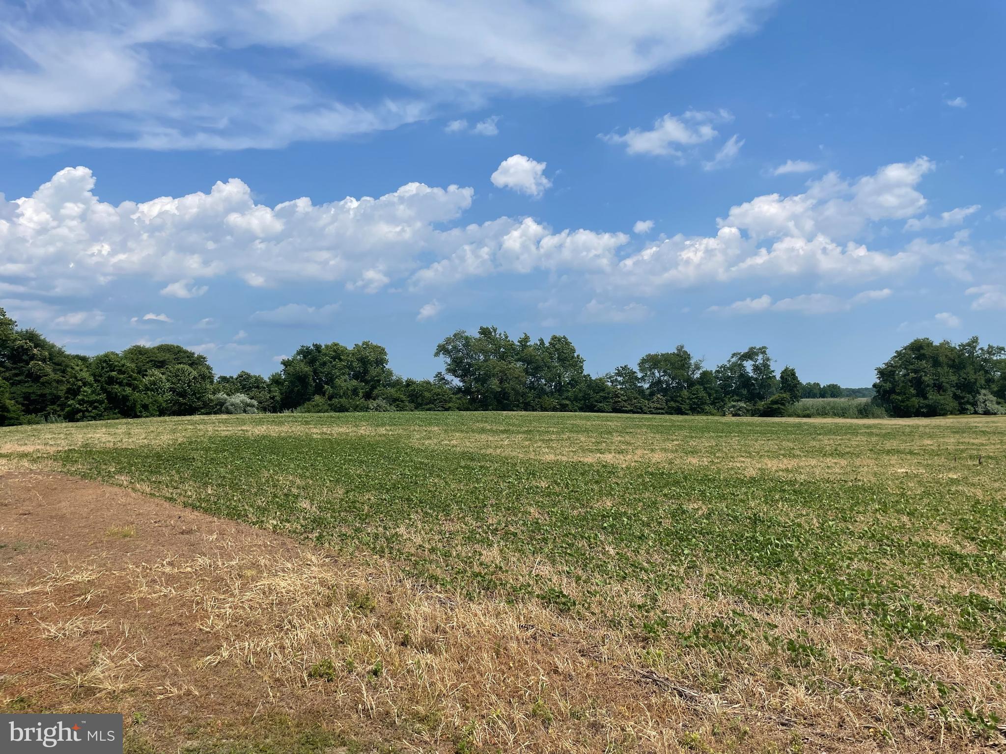 102 Stow Neck Road Salem, NJ 08079 - Photo 18 of 19