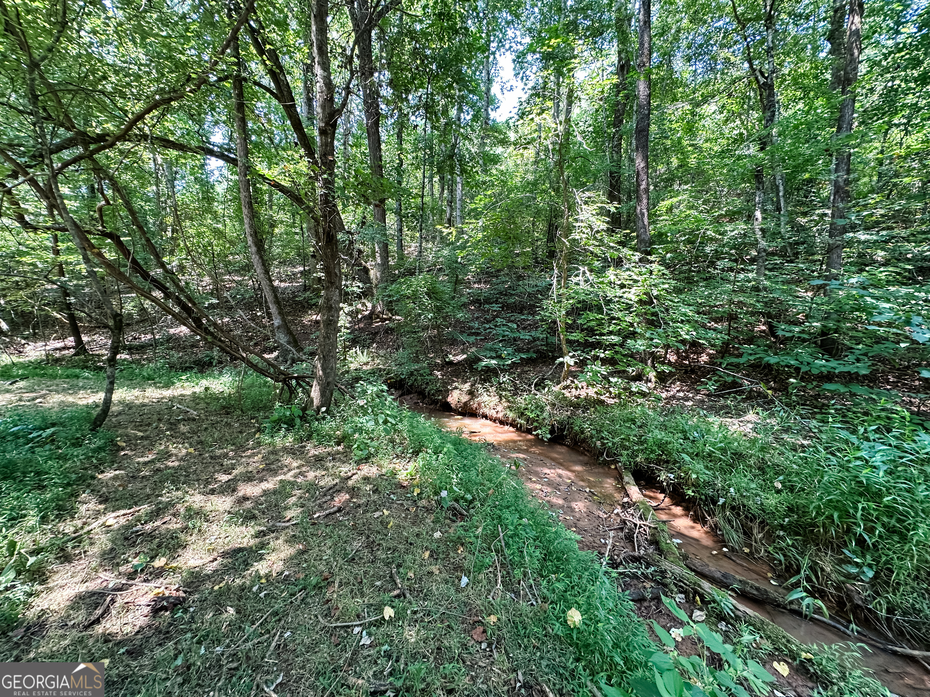 0 Jordan Road, Unit 17 79 ACRES Monticello, GA 31064 - Photo 34 of 38 Gallery Image 34
