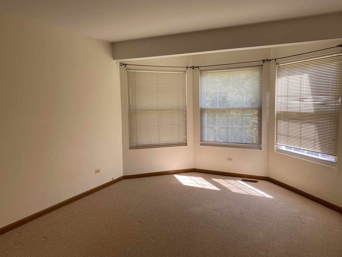 247 Ascot Lane Streamwood, IL 60107 - Photo 17 of 21 a view of an empty room with a window