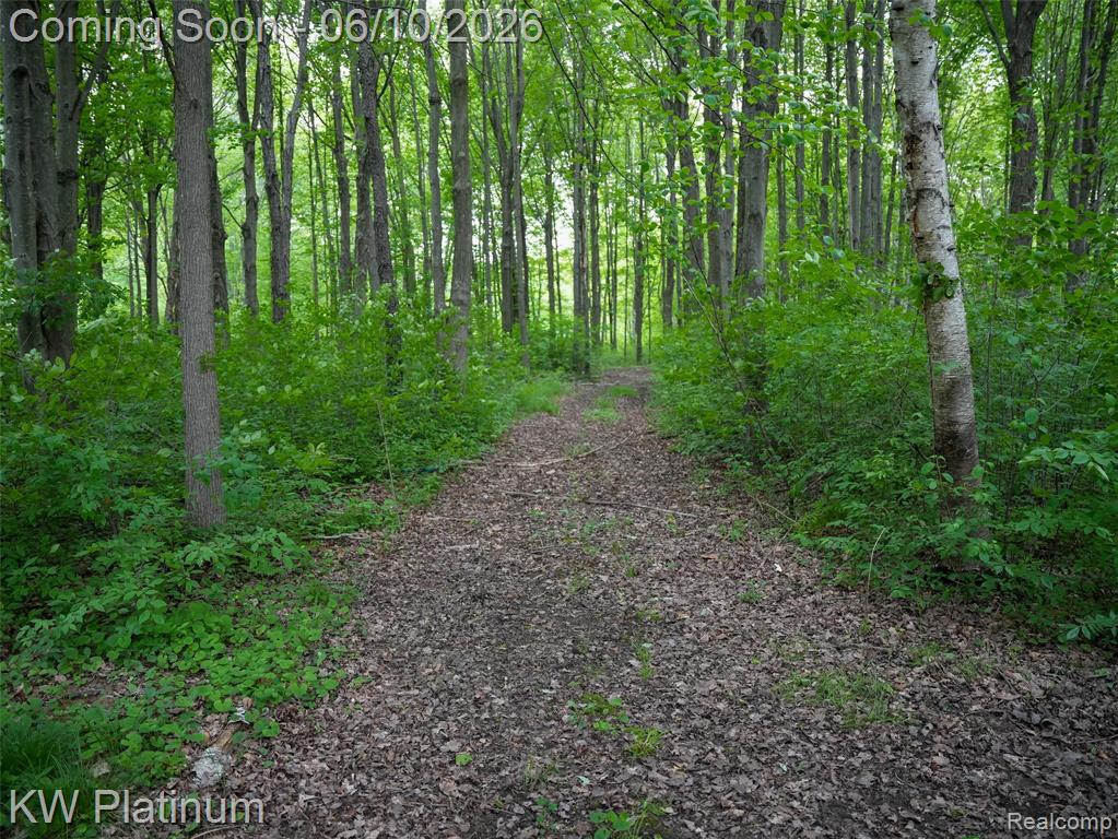 5324 Ravenswood Road Smiths Creek, MI 48074 - Photo 48 of 54