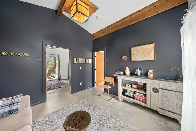 a view of a backyard with plants and palm tree