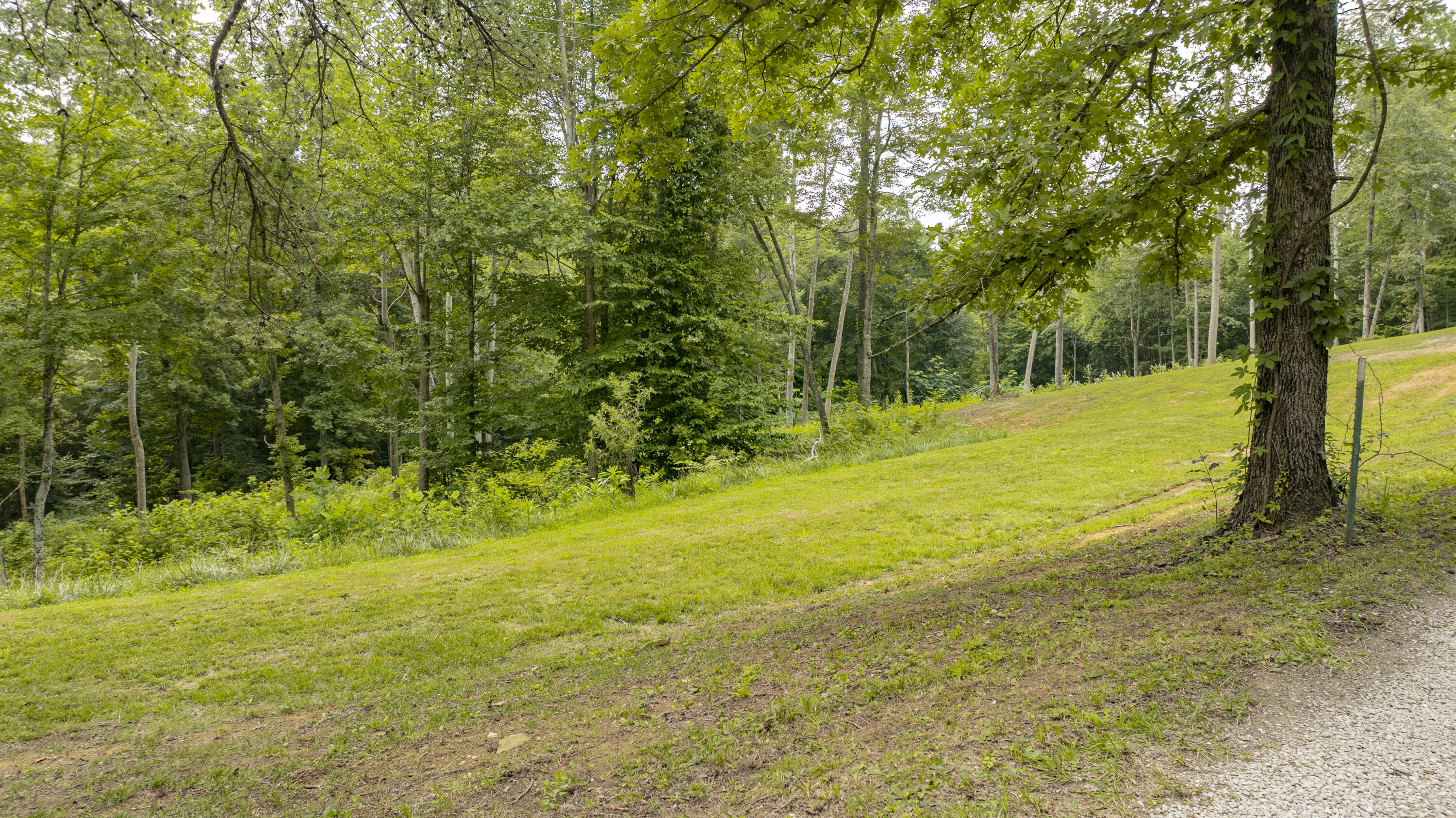 439 Lakepoint View Road Monticello, KY 42633 - Photo 15 of 28 Lakeview View rd-14