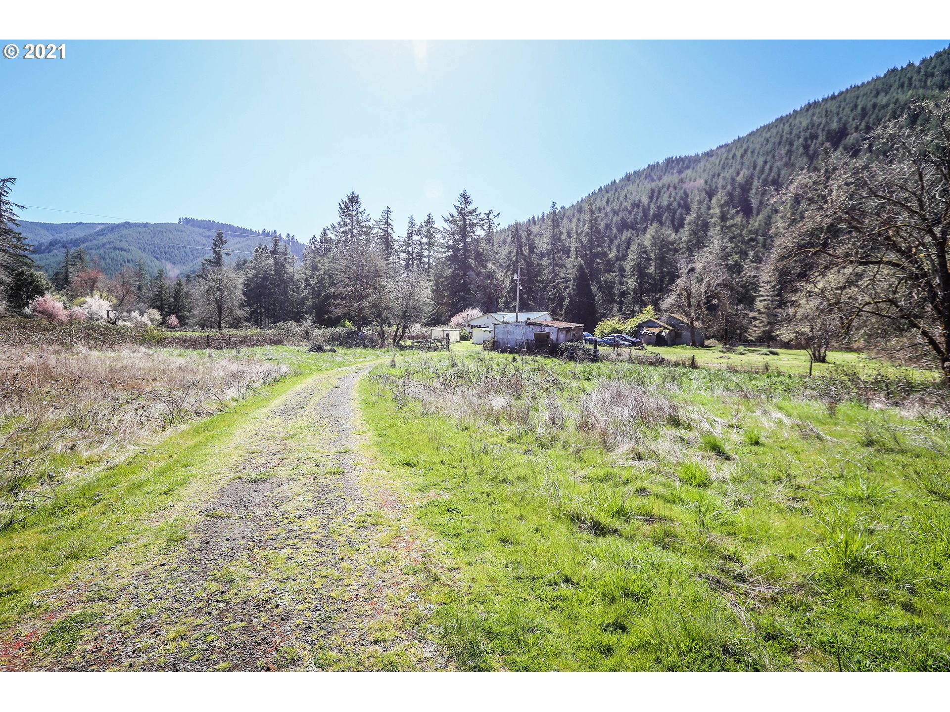 37953 Row River Road Dorena, OR 97434 - Photo 22 of 31