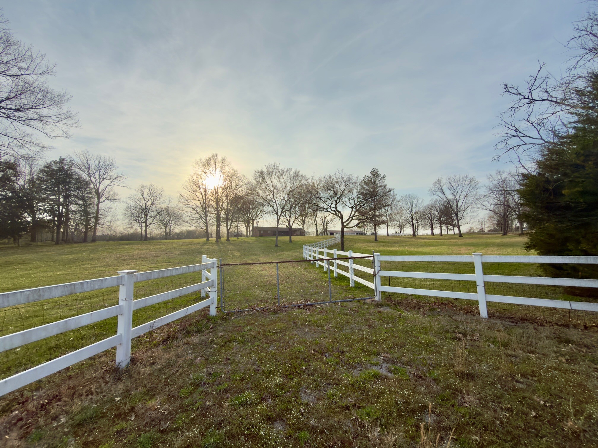 3242 Holly Grove Road Lascassas, TN 37085 - Photo 39 of 49