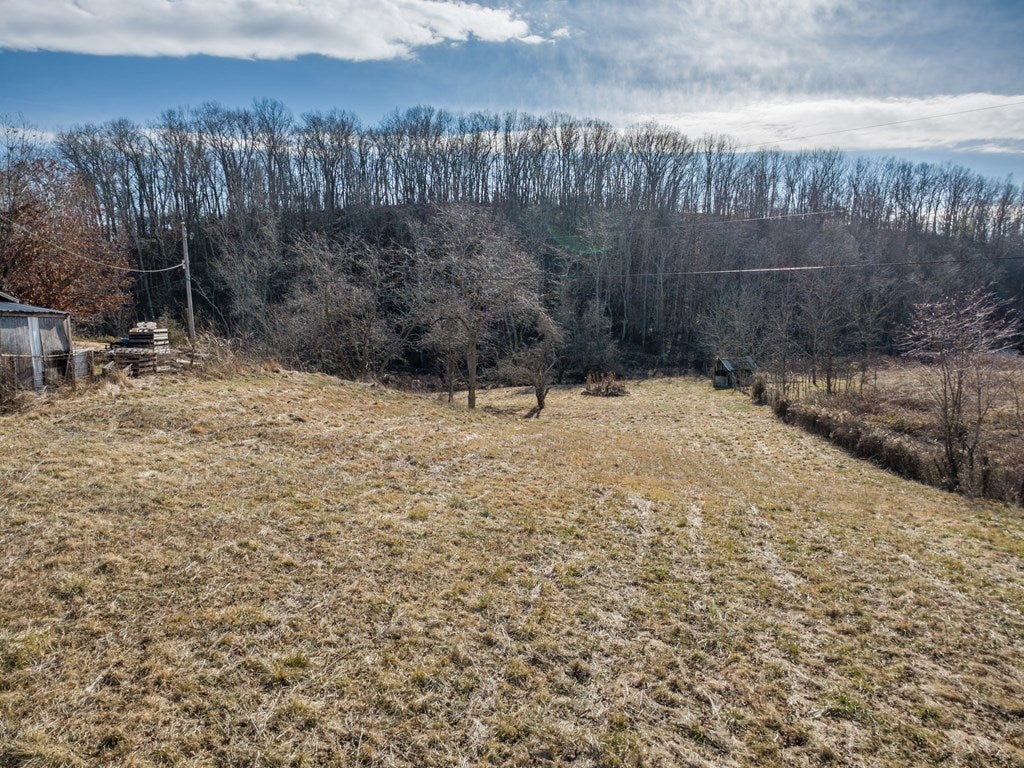 Tbd Fort Chiswell Road Max Meadows, VA 24360 - Photo 18 of 44 Gallery Image 18