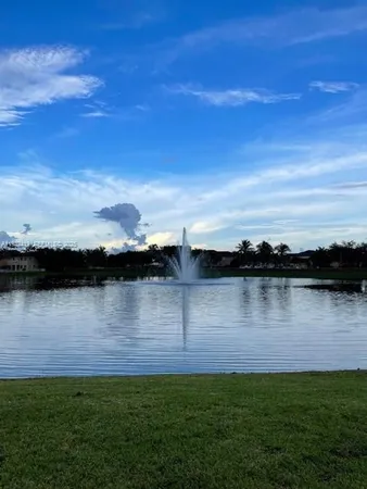 a view of a lake from a yard