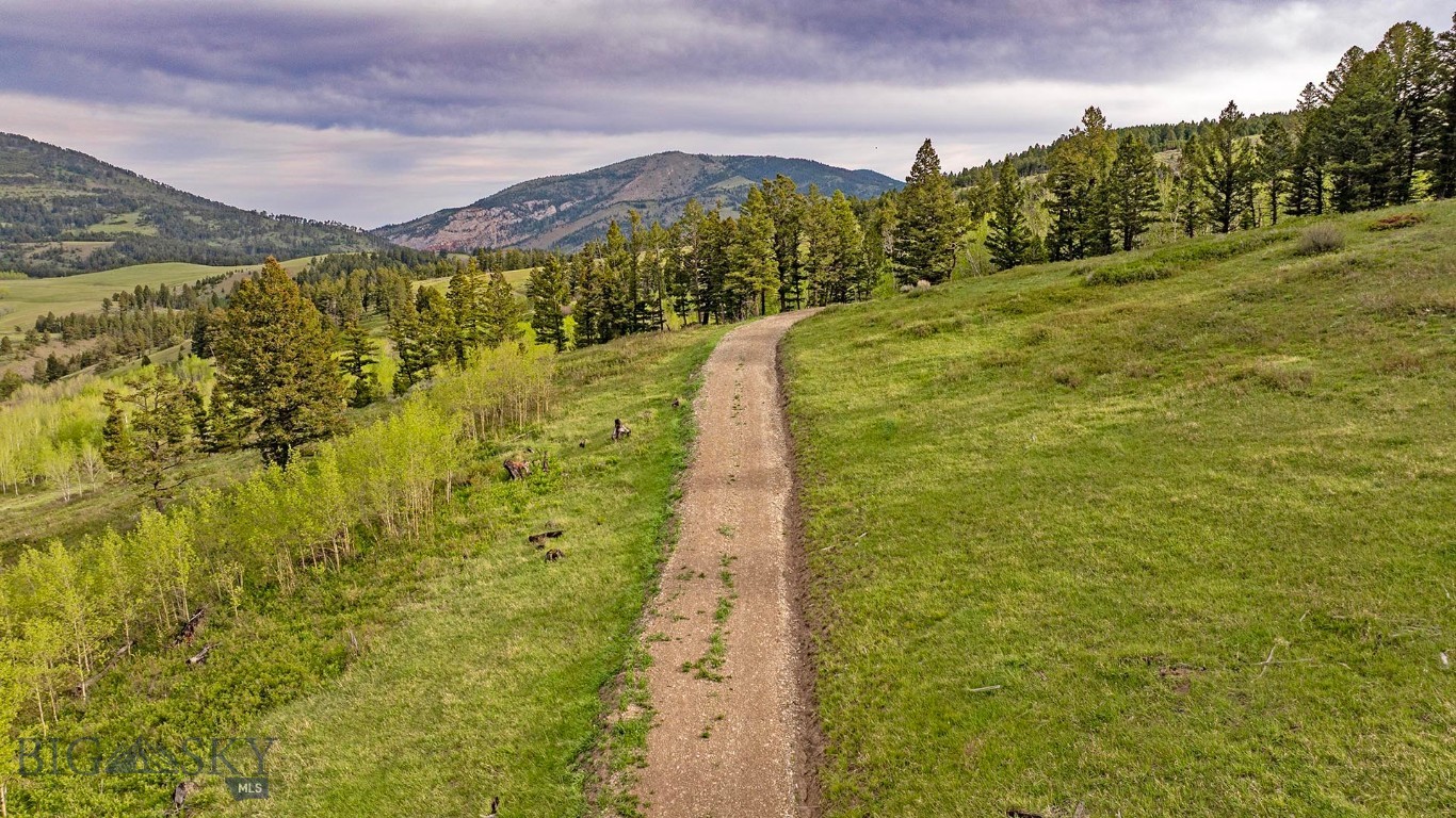 Tbd Petterson Road Wilsall, MT 59086 - Photo 10 of 27 Gallery Image 10