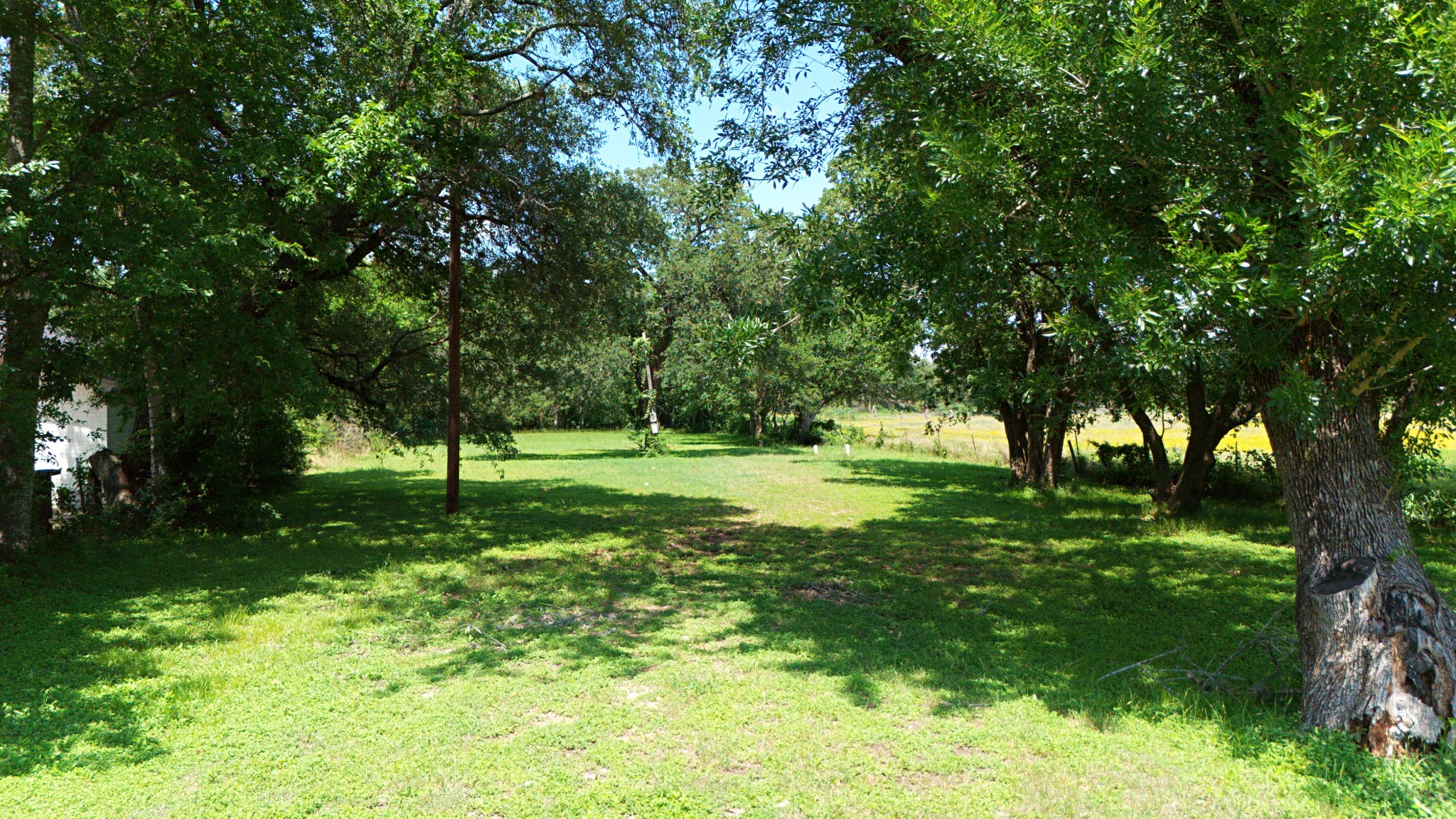 4211 Old Hearne Road Bryan, TX 77803 - Photo 12 of 19 a view of a tree in a yard