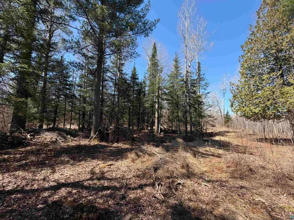 $80,000 | 115 Marks Road, Esko, MN 55733