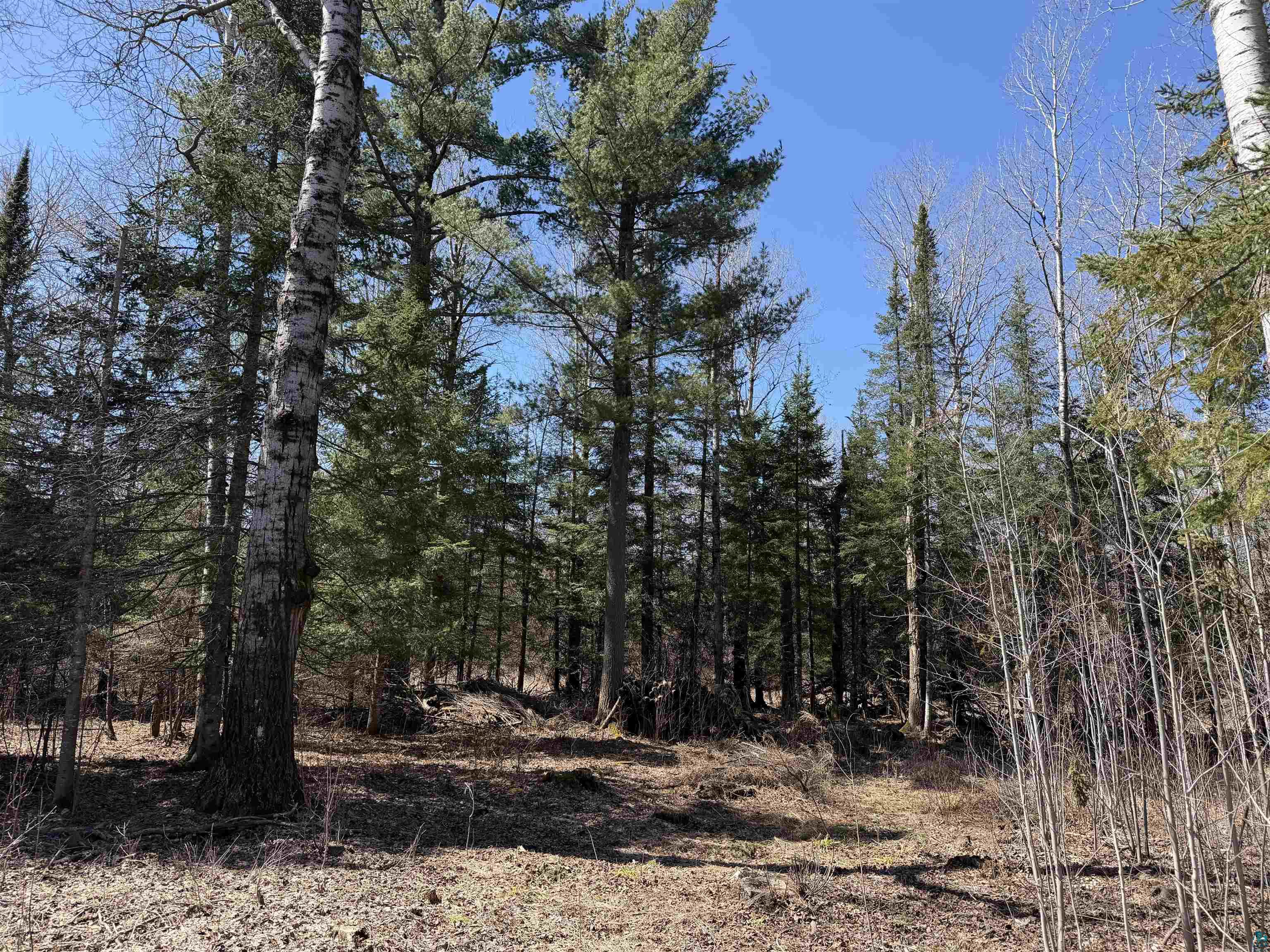 115 Marks Road Esko, MN 55733 - Photo 2 of 4