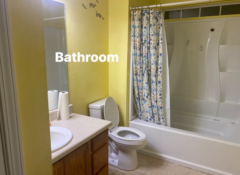 756B Maple Drive Greer, SC 29651 - Photo 10 of 10 A well-lit bathroom provides a functional space with a convenient shower-tub combination.