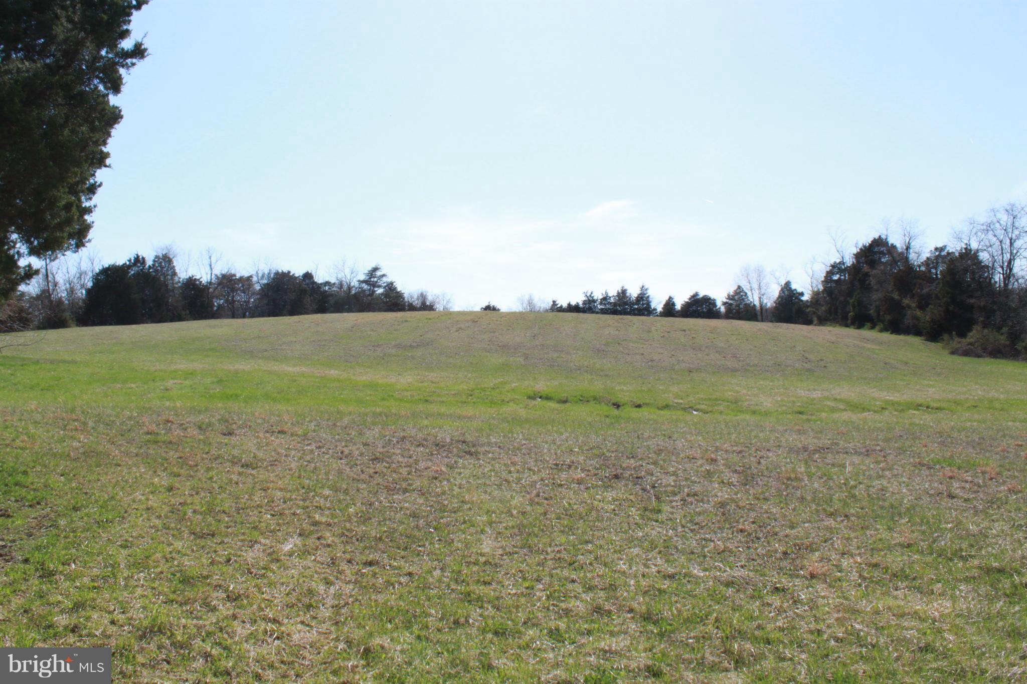 736 Reliance Road Middletown, VA 22645 - Photo 14 of 19 Exterior (Rear)