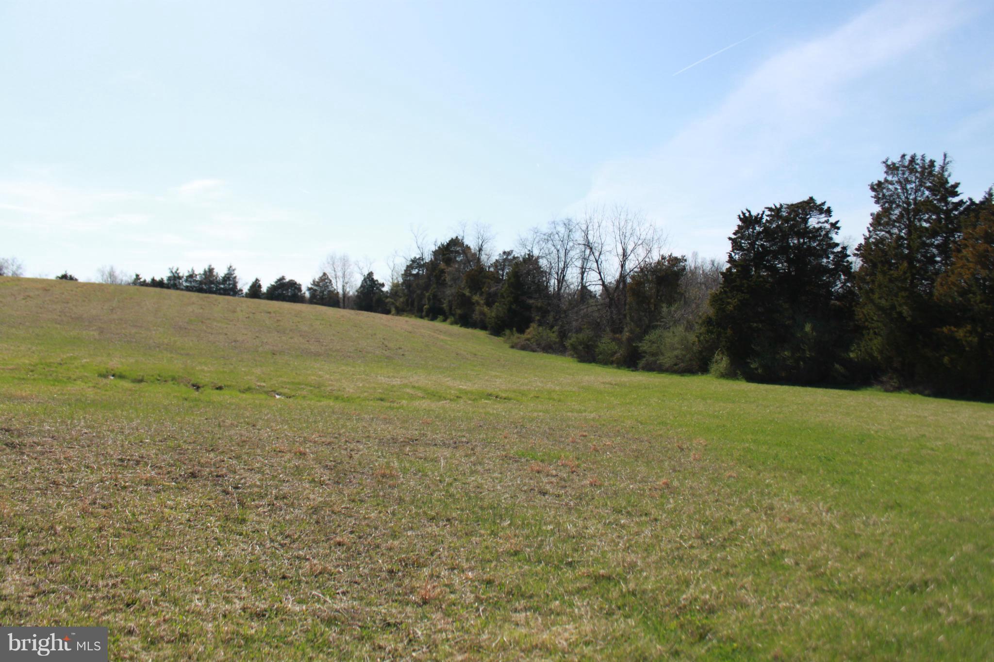 736 Reliance Road Middletown, VA 22645 - Photo 16 of 19 Exterior (Rear)