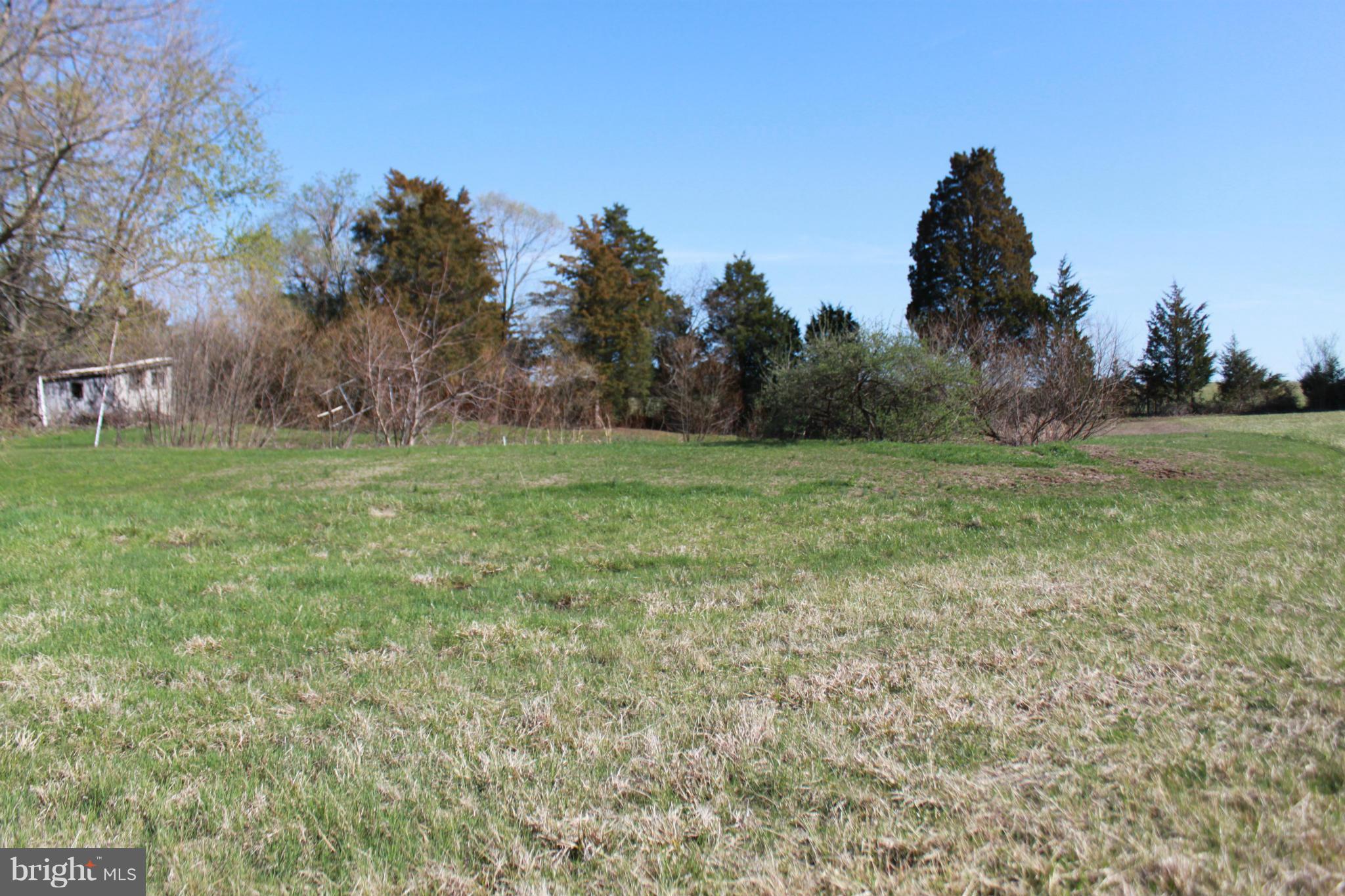 736 Reliance Road Middletown, VA 22645 - Photo 17 of 19 Exterior (Rear)