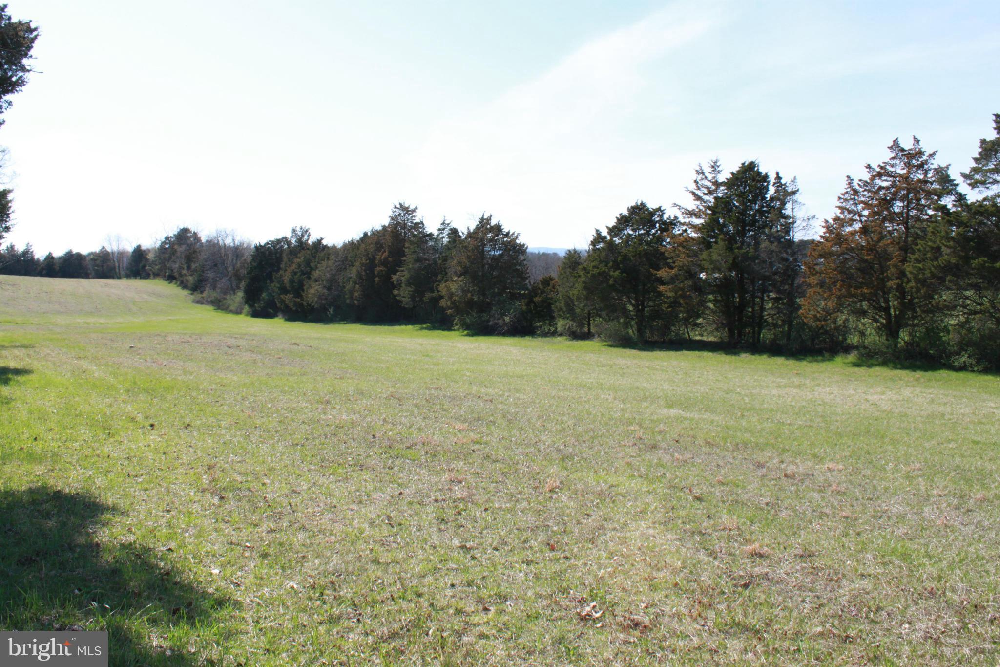 736 Reliance Road Middletown, VA 22645 - Photo 10 of 19 Separate Lot