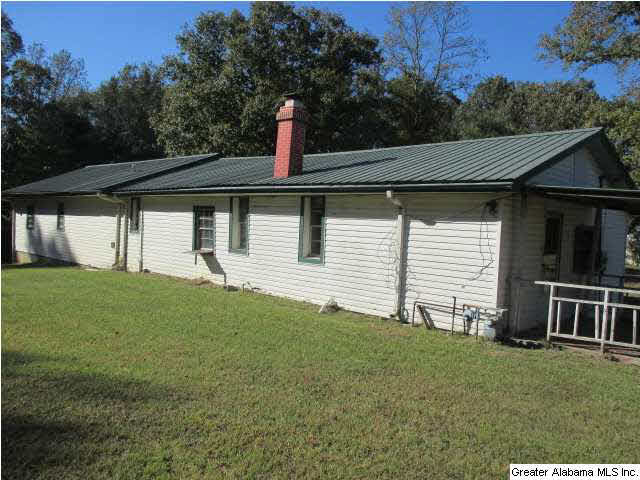 290 Old Hannah Road Leeds, AL 35094 - Photo 4 of 4