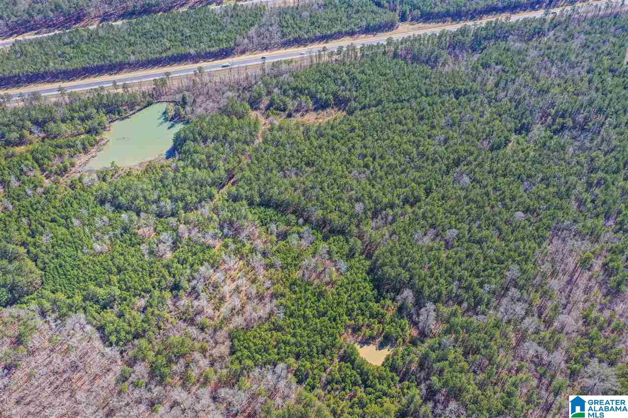 0 Barron Street Steele, AL 35987 - Photo 5 of 14